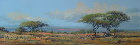 africanblue2008002001.jpg