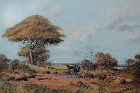 africanblue2008002002.jpg