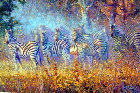 africanblue2008002008.jpg